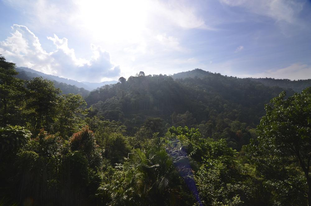 Вилла The Dusun Серембан  Экстерьер фото